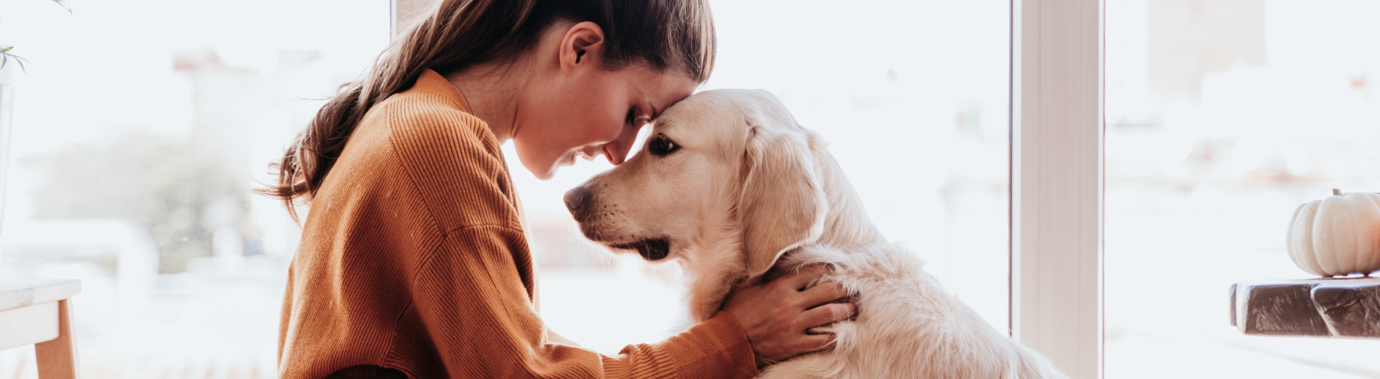 ragazza che abbraccia un cane nella sua casa