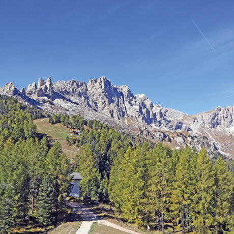 In montagna con il cane: le Dolomiti, un paesaggio magico.