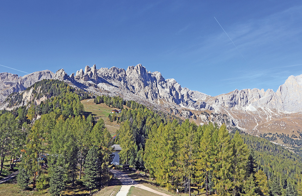 In montagna con il cane: le Dolomiti, un paesaggio magico.