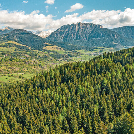 Escursioni pet friendly in Val di Fiemme: la vista sulla valle.