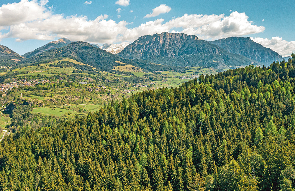 Escursioni pet friendly in Val di Fiemme: la vista sulla valle.