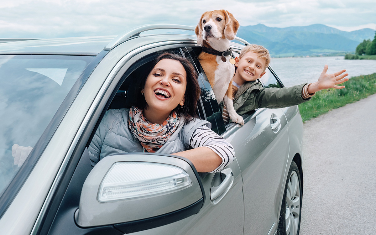 Cane in auto con la famiglia: destinazione vacanze pet friendly.