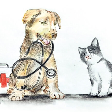 Pronto soccorso veterinario: una illustrazione di Paolo Maccioni