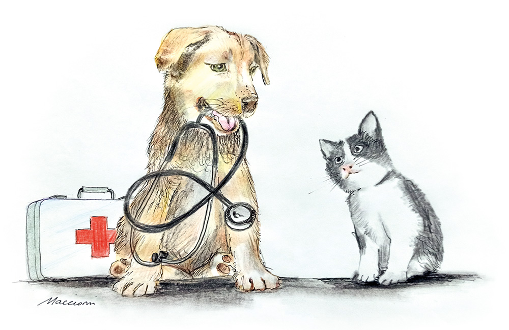 Pronto soccorso veterinario: una illustrazione di Paolo Maccioni