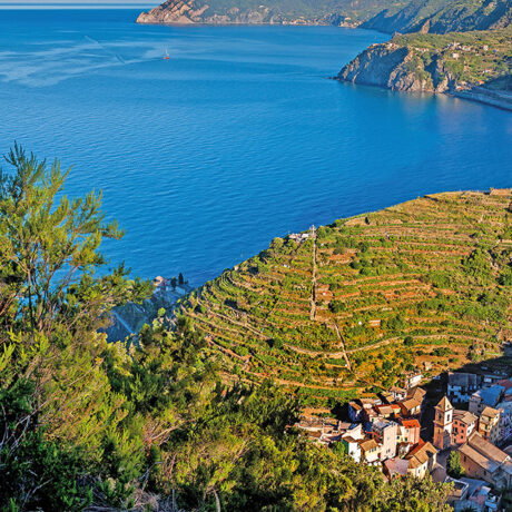 Cinque Terre: vacanze pet friendly al mare. Uno scorcio di Manarola.