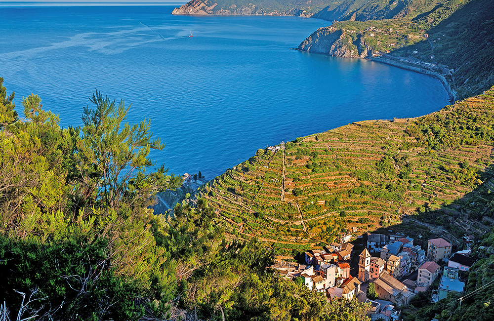 Cinque Terre: vacanze pet friendly al mare. Uno scorcio di Manarola.