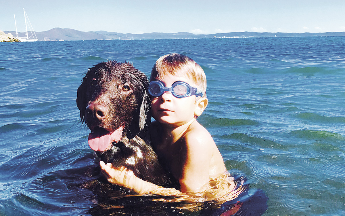 Cani ed estate: un cane in acqua con il proprio padroncino.