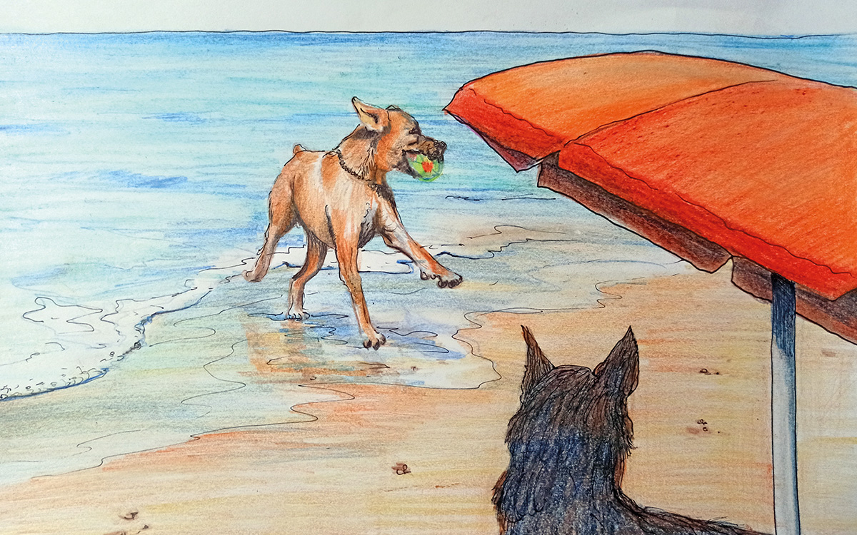 Un cane che si diverte in spiaggia: disegno di Paolo Maccioni.