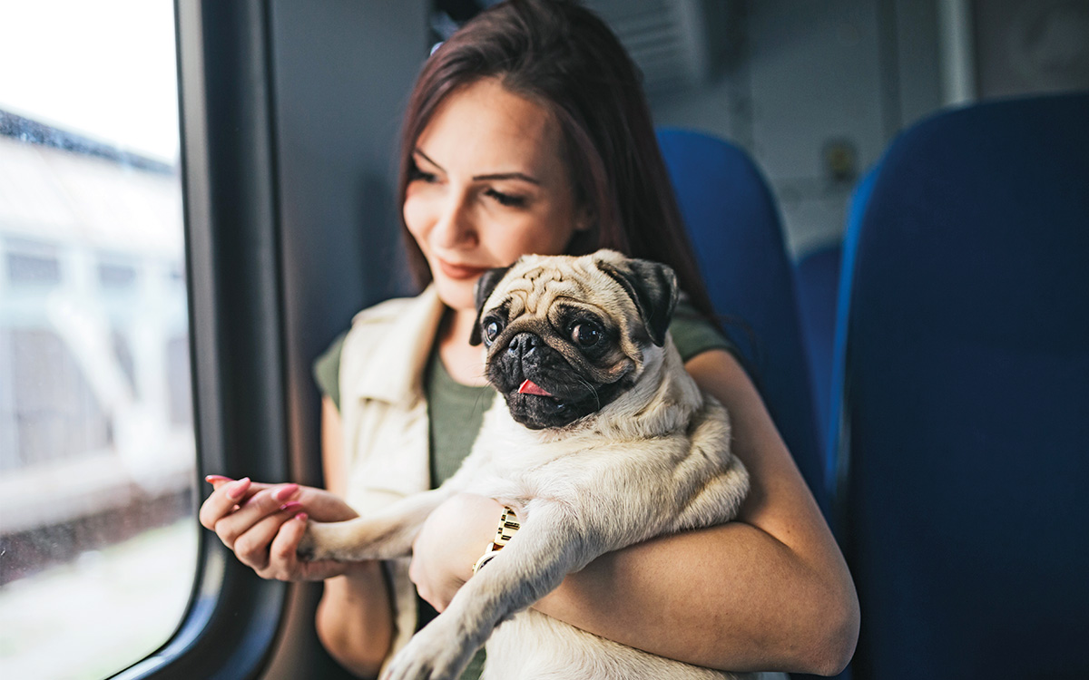 Vacanze pet friendly: una padrona in treno con il proprio Carlino.