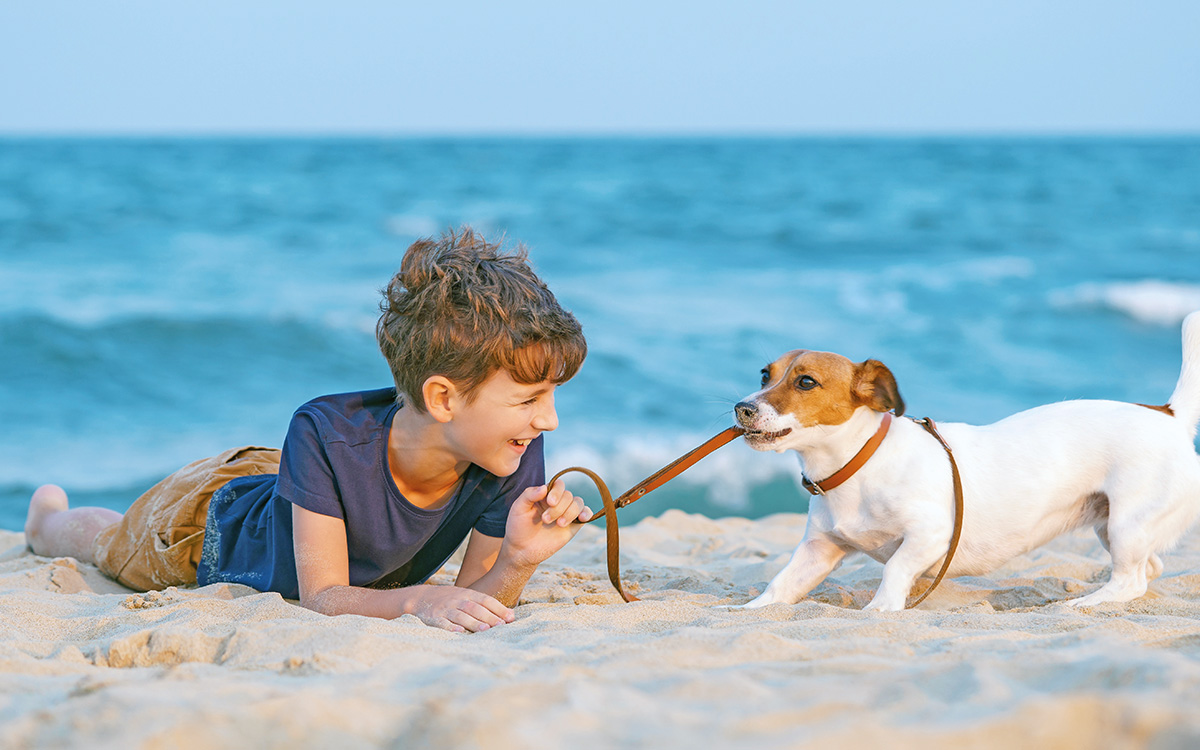 Un cagnolino gioca con il suo padroncino in una delle spiagge per cani d'Italia.