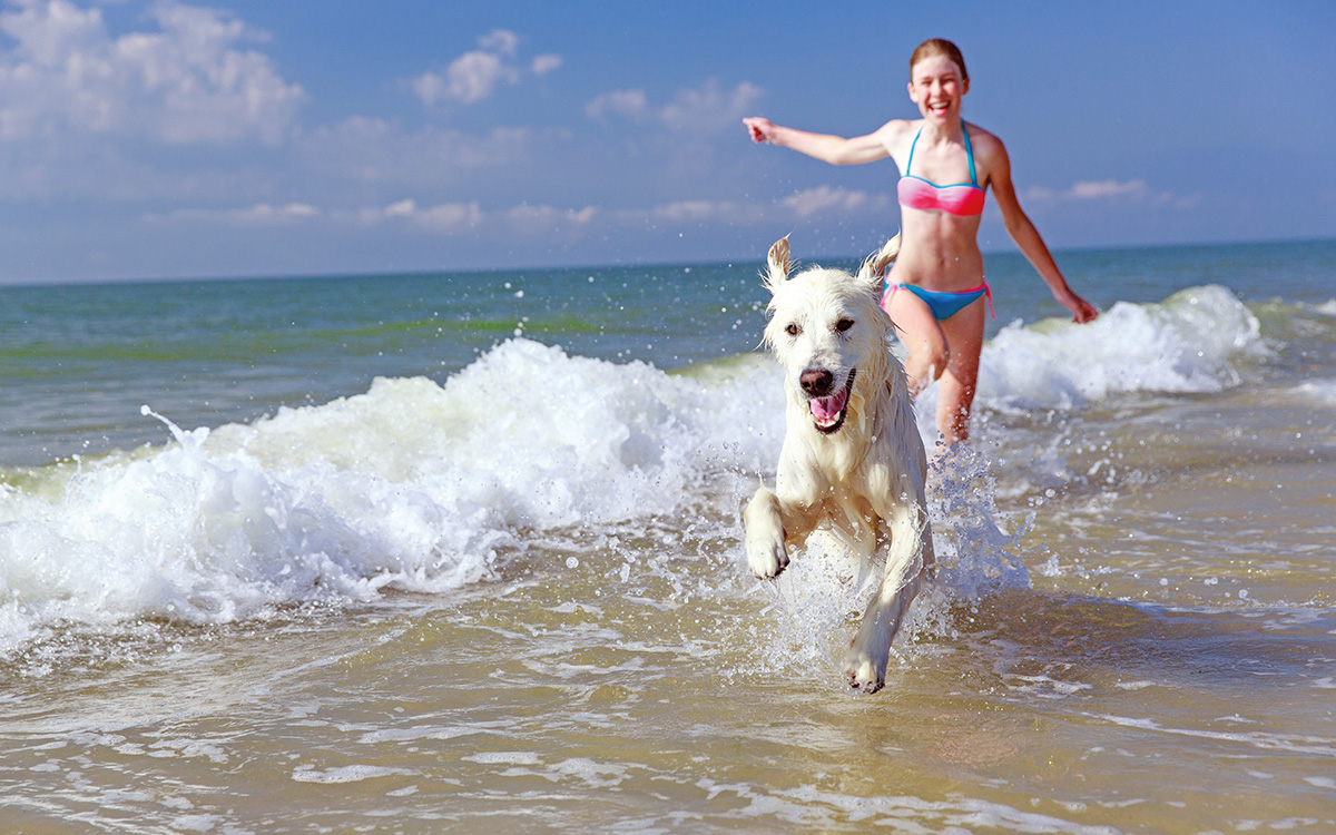 Una ragazza gioca con il suo amico a quattro zampe su una spiaggia pet-friendly.