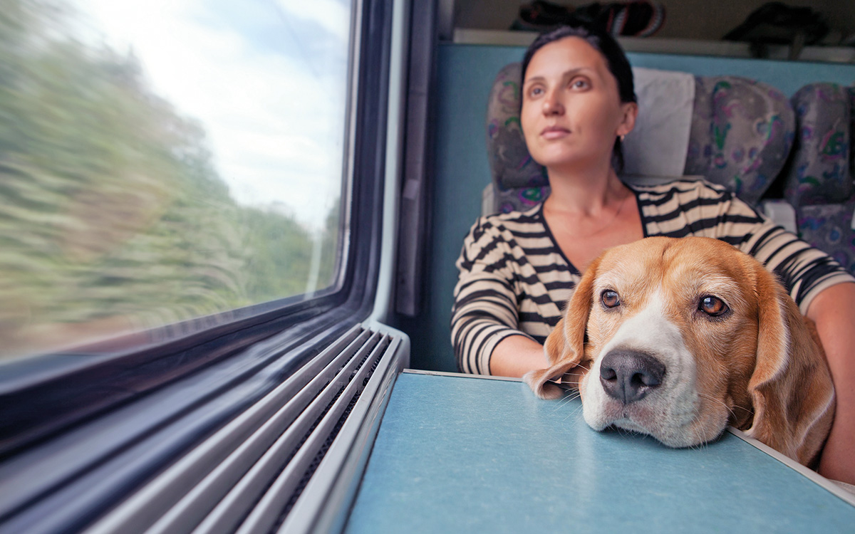 Vacanza a misura di pet