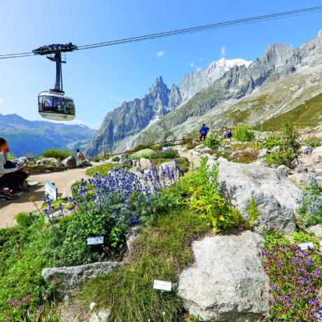 Vacanze in montagna con il cane a Courmayeur