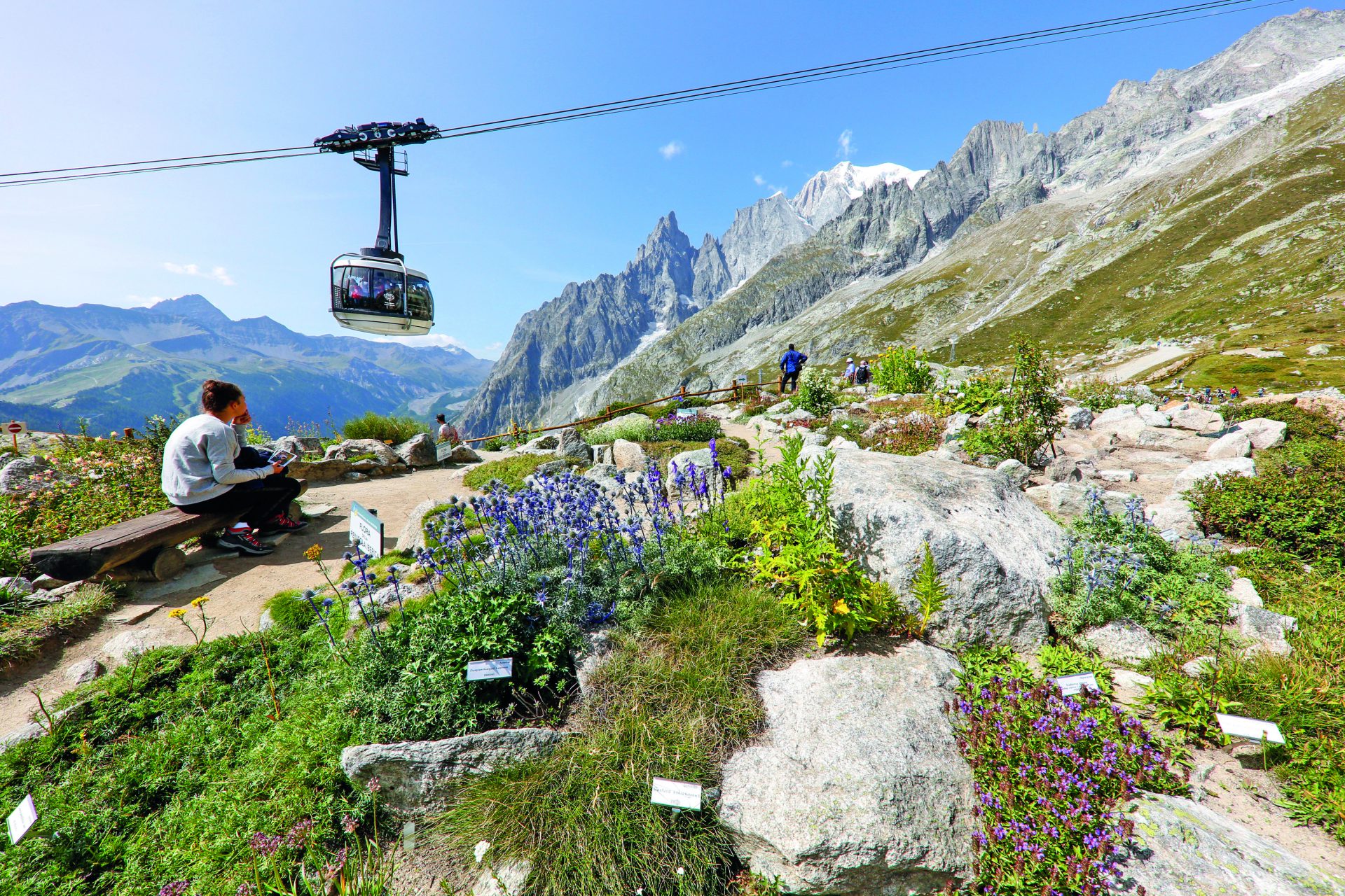 Vacanze in montagna con il cane a Courmayeur