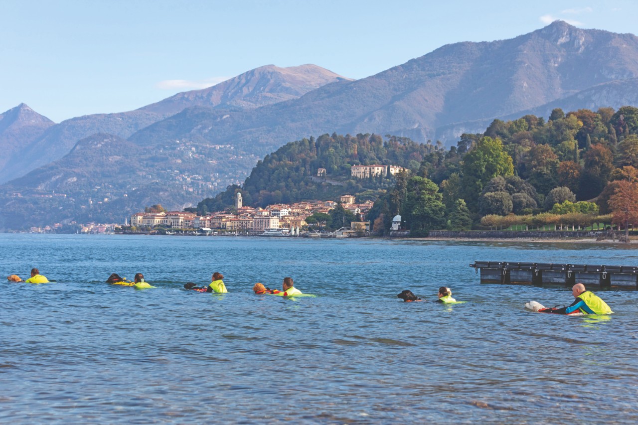 Il Lago di Como, il lago dog friendly