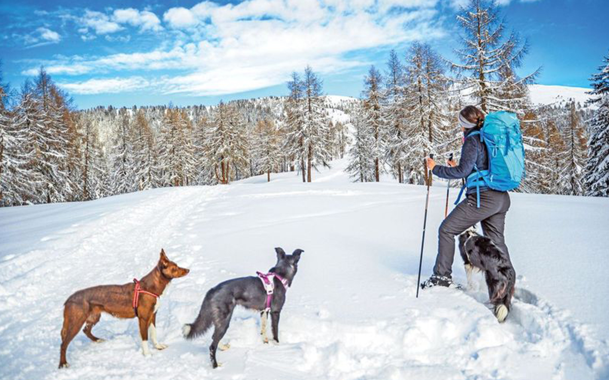 Vacanza pet friendly in Alto Adige, un eterno paradiso