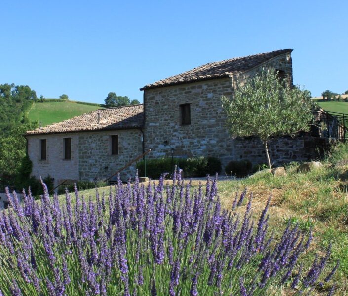 Agriturismo Carincone